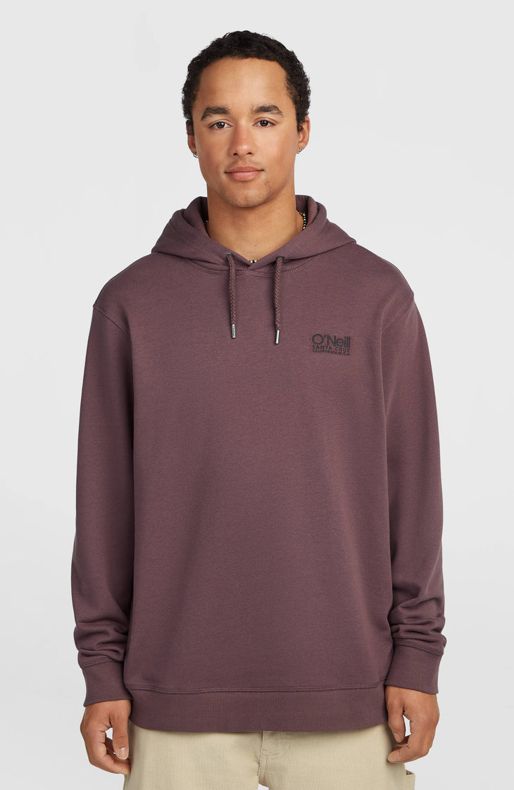 O'Neill Cali hoodie | Purple Gray