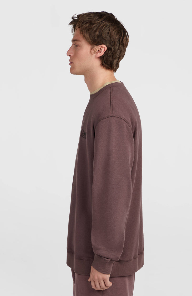 O'Neill Cali Crew sweater | Purple Gray