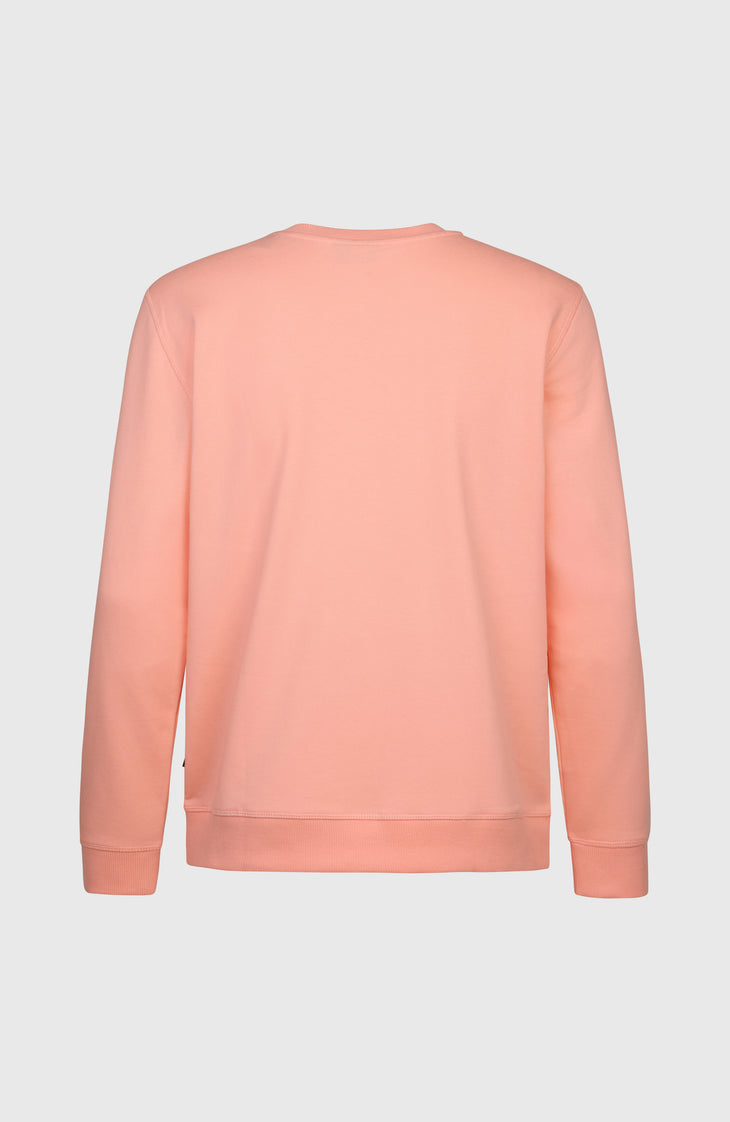 O'Neill California Graphic Crew sweater | Coral Pop
