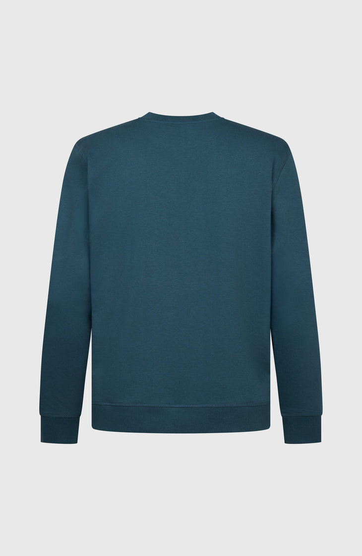 O'Neill California Graphic Crew sweater | Alma Steel