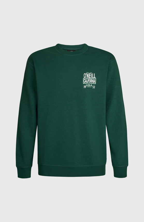 O'Neill Small Logo Crew sweater | Emerald Envy