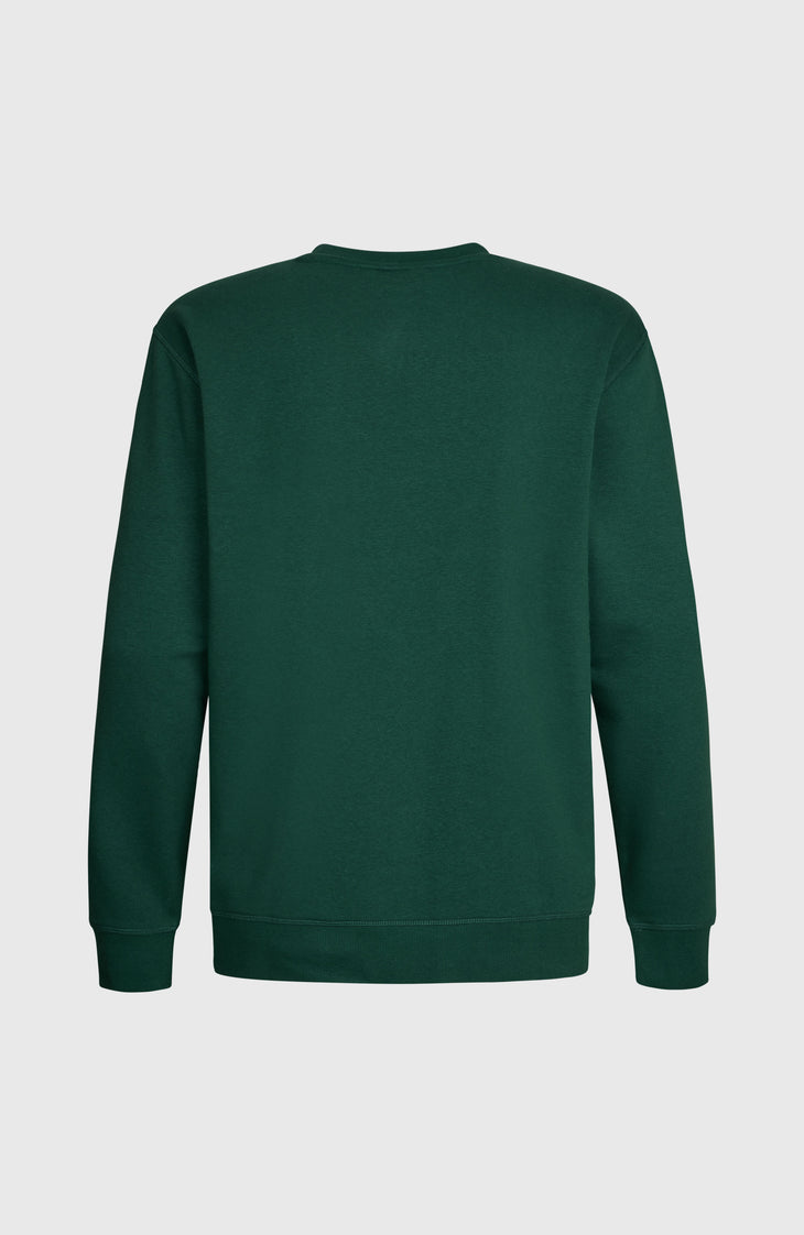 O'Neill Small Logo Crew sweater | Emerald Envy