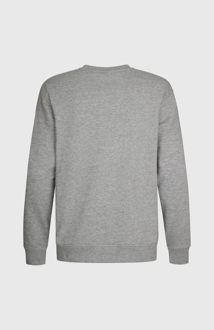 O'Neill Small Logo Crew sweater | Silver Melee
