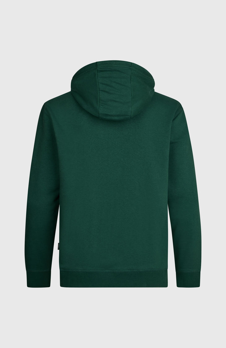 O'Neill Small Logo hoodie | Emerald Envy