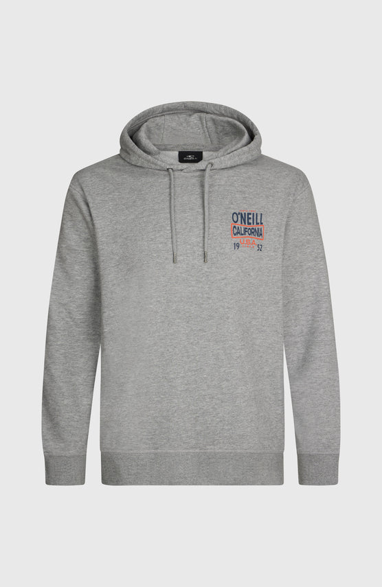 O'Neill Small Logo hoodie | Silver Melee