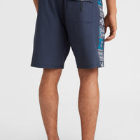 Boardshort Mysto Side Panel 18'' | Outer Space