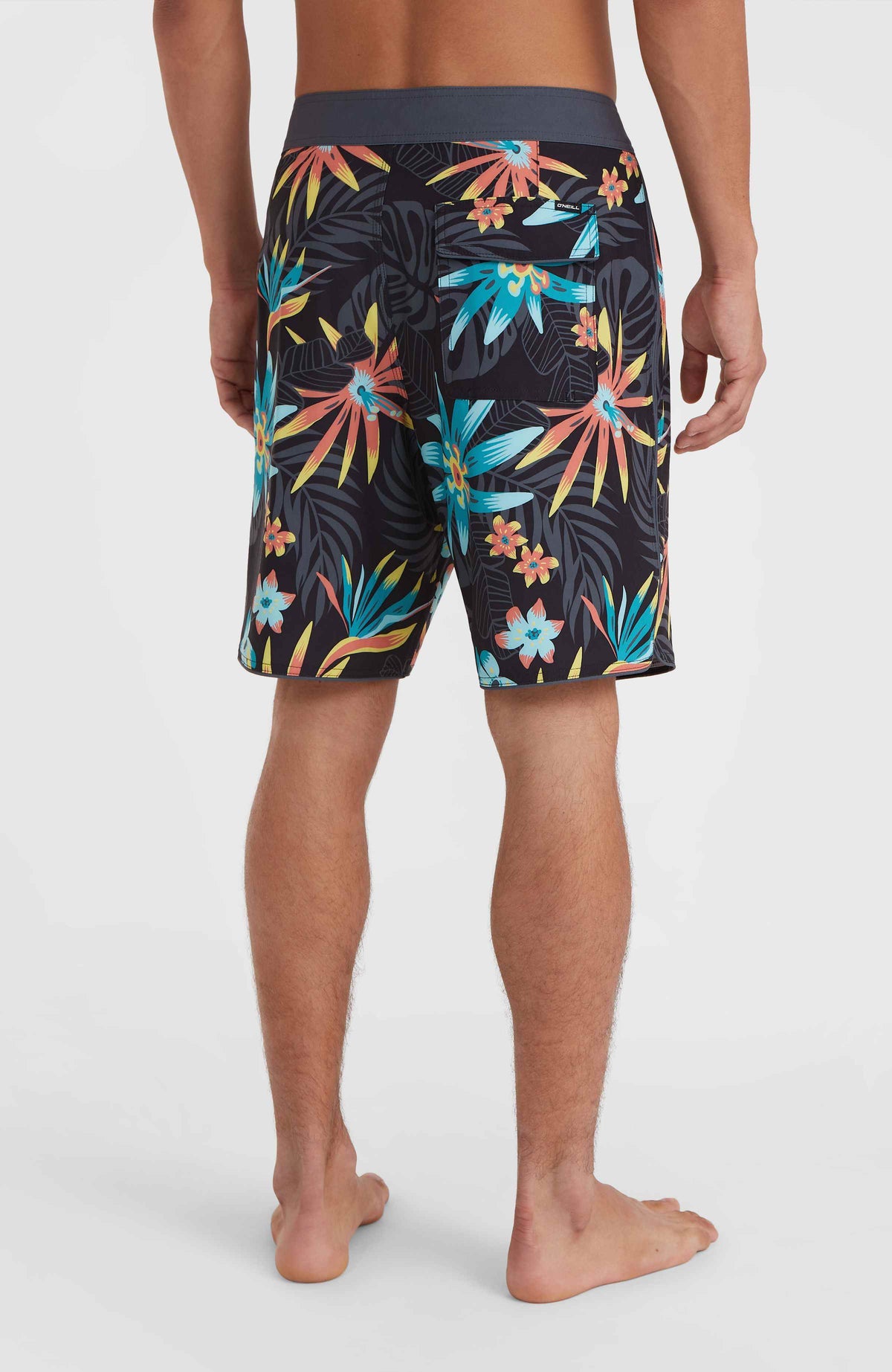 Hyperfreak Mysto Scallop 19'' boardshort | Black Mysto Scallop