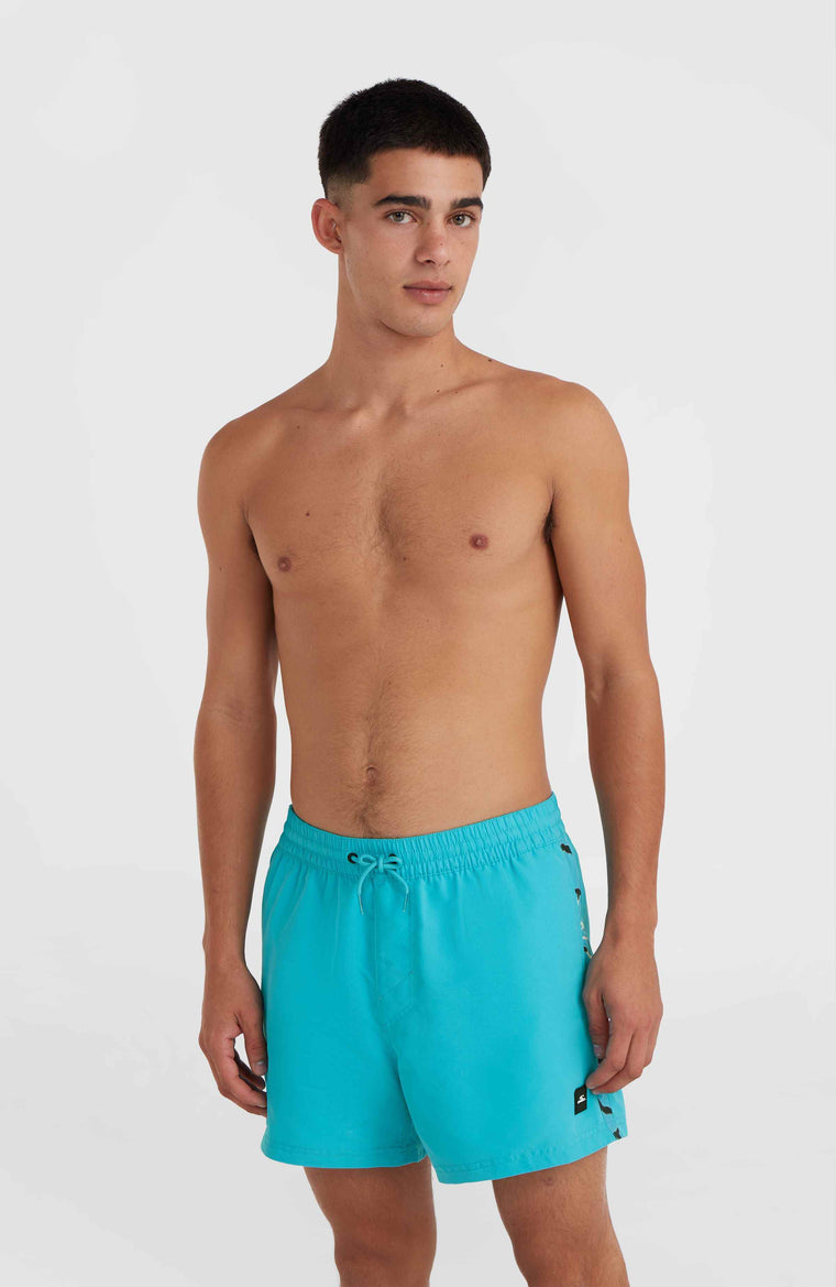 Jack O'Neill Vert 14'' zwembroek | Neon Blue Jack O'Neill Vert 14'' zwembroek | Neon Blue