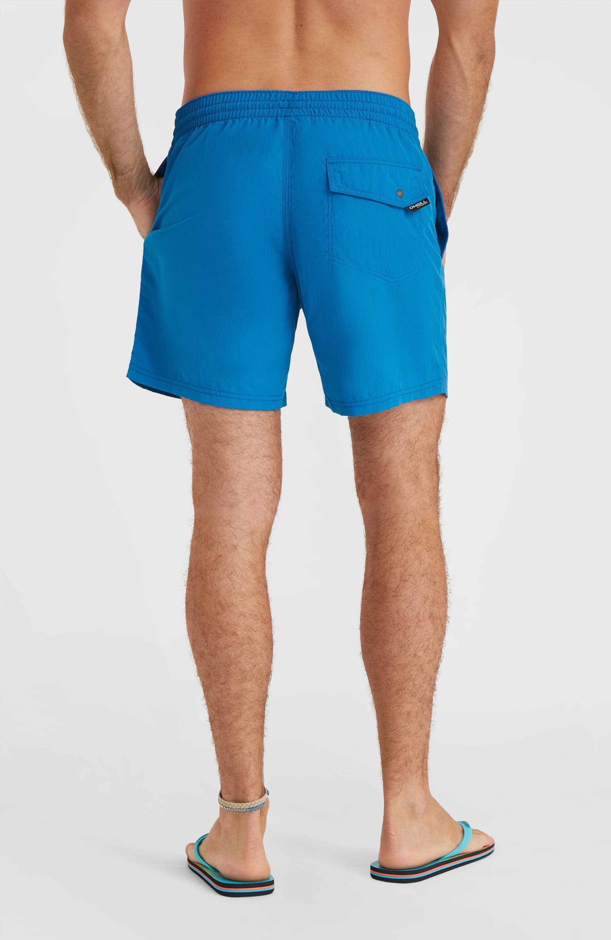 Vert 16'' zwembroek | Mary Poppins