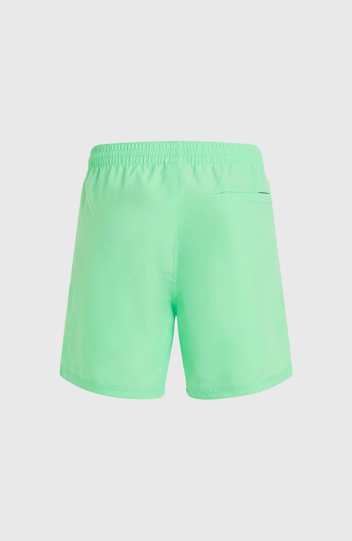 Cali 16'' zwembroek | Neon Green