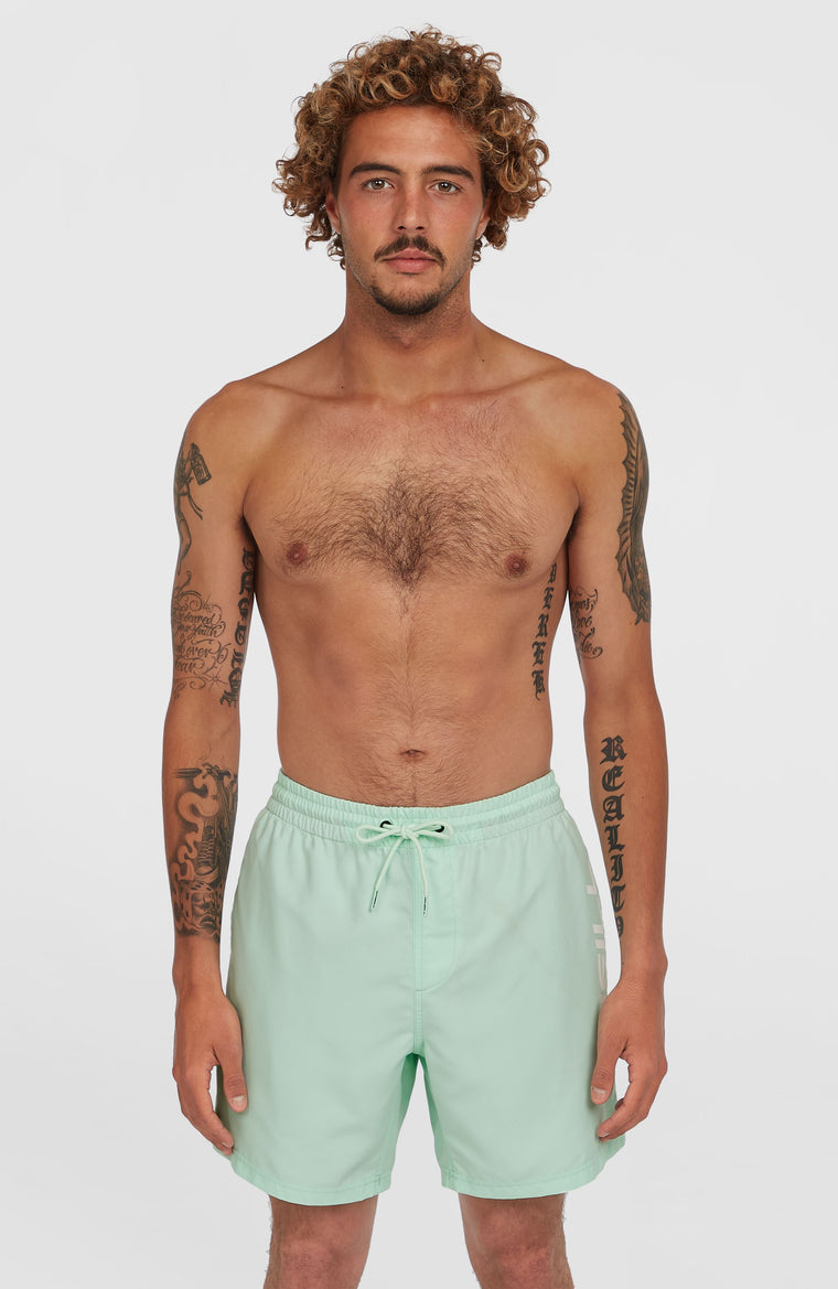 Cali 16'' zwembroek | Mildrew Mint Cali 16'' zwembroek | Mildrew Mint