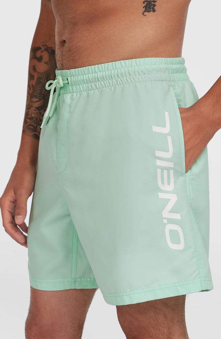 Cali 16'' zwembroek | Mildrew Mint