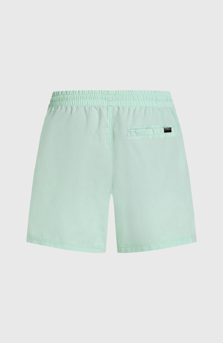 Cali 16'' zwembroek | Mildrew Mint