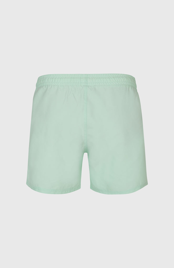 O'Neill 15" zwembroek | Mildrew Mint