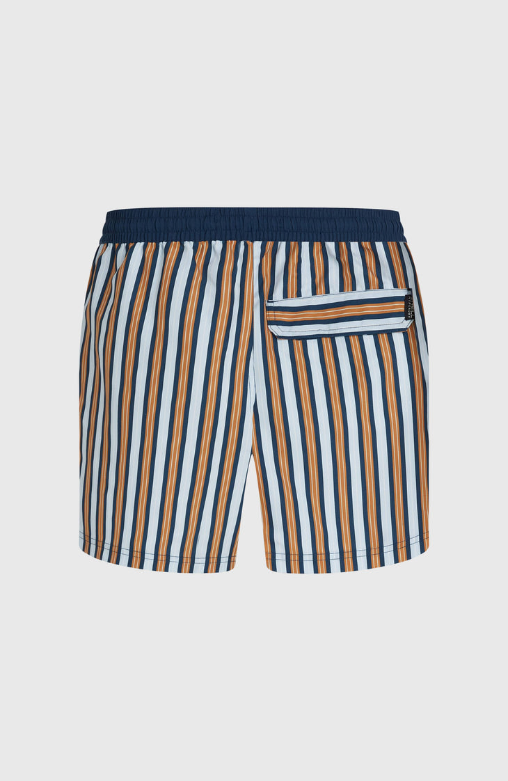 O'Riginals Stripe 15'' zwembroek | Blue Originals stripe