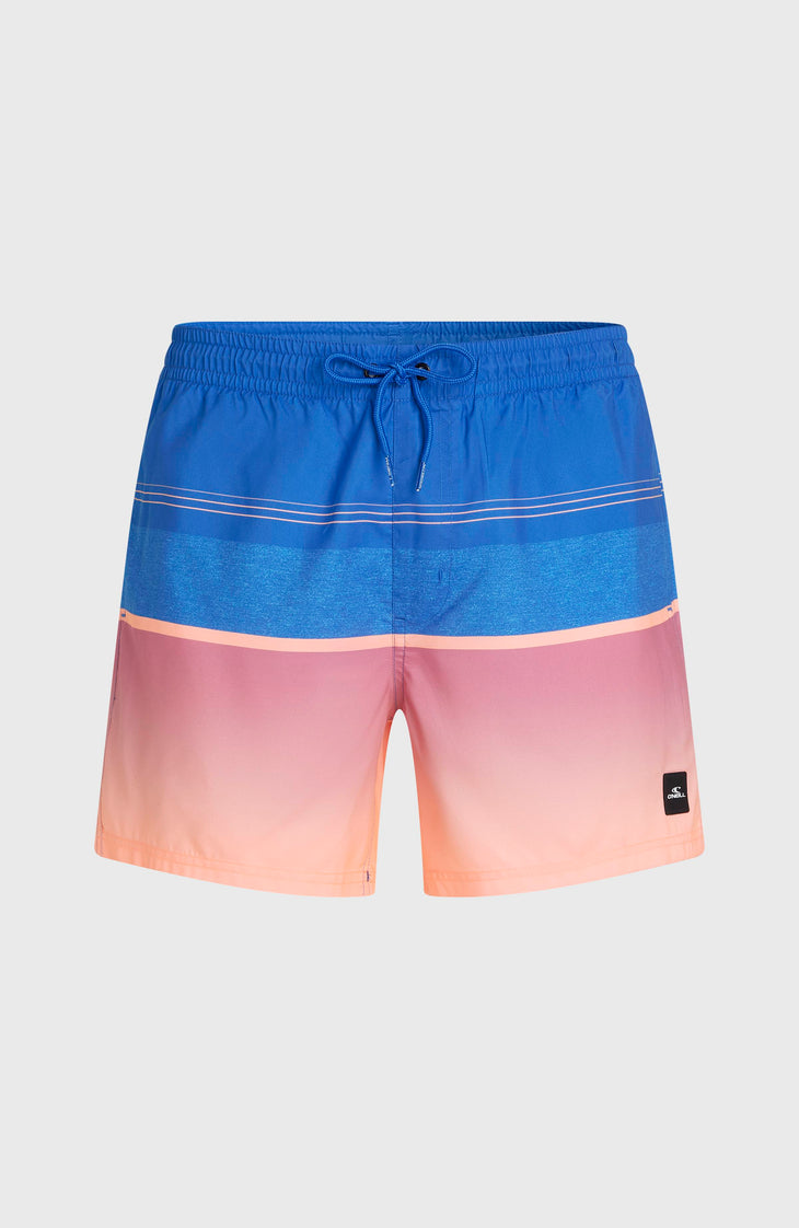 O'Neill Gradient 15'' zwembroek | Blue Gradient Stripe