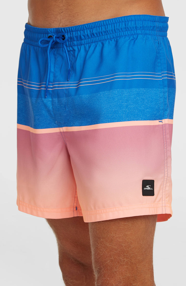 O'Neill Gradient 15'' zwembroek | Blue Gradient Stripe