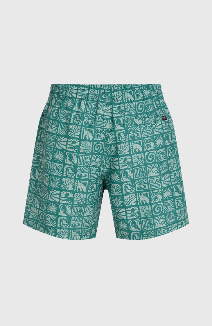 O'Neill Print 16'' zwembroek | Blue Bricks