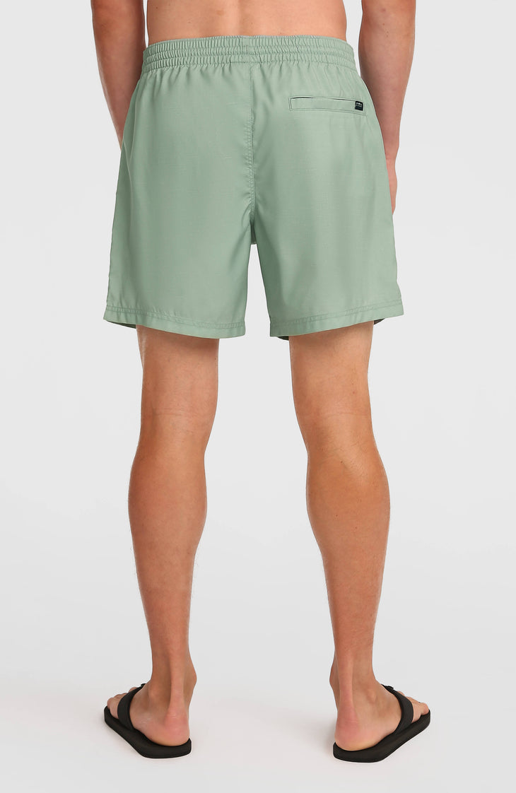 O'Neill Uni Flower 16'' zwembroek | Green Tropical Stripe