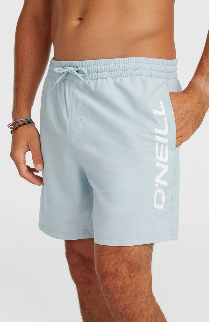 O'Neill Logo 16'' zwembroek | Spindle