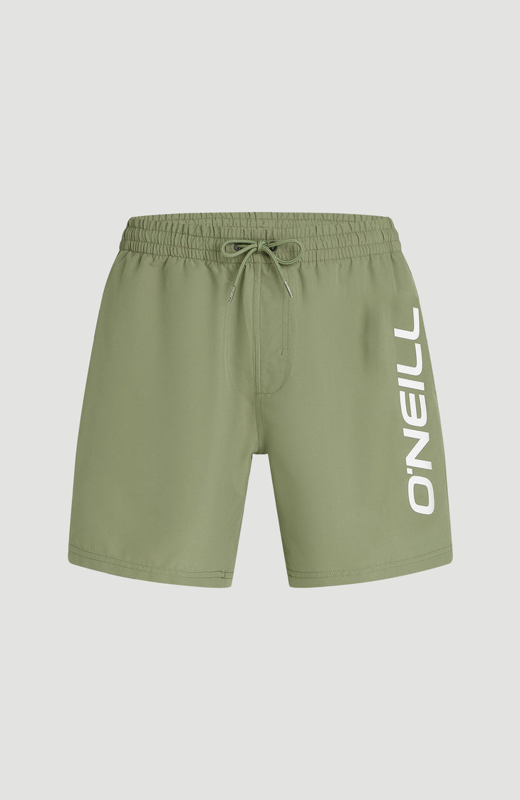 O'Neill Logo 16'' zwembroek | Avery Fern
