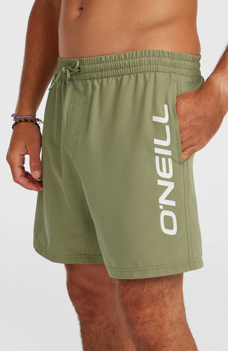 O'Neill Logo 16'' zwembroek | Avery Fern
