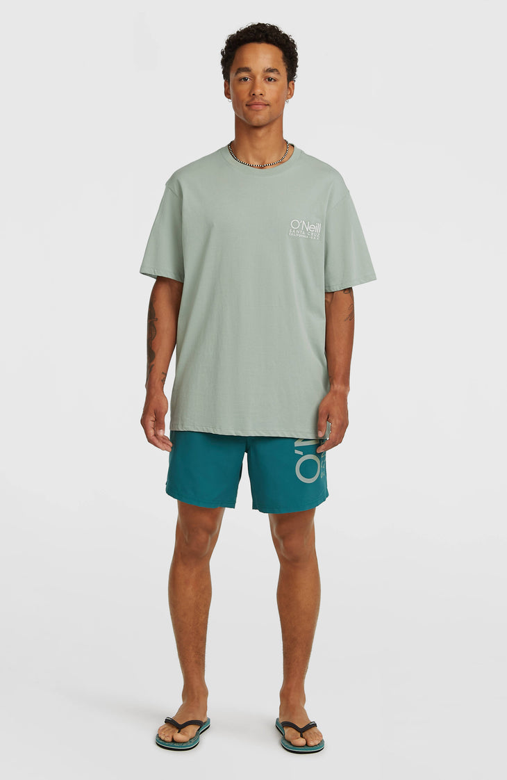 O'Neill Cali 16'' zwembroek | Botanical Heat