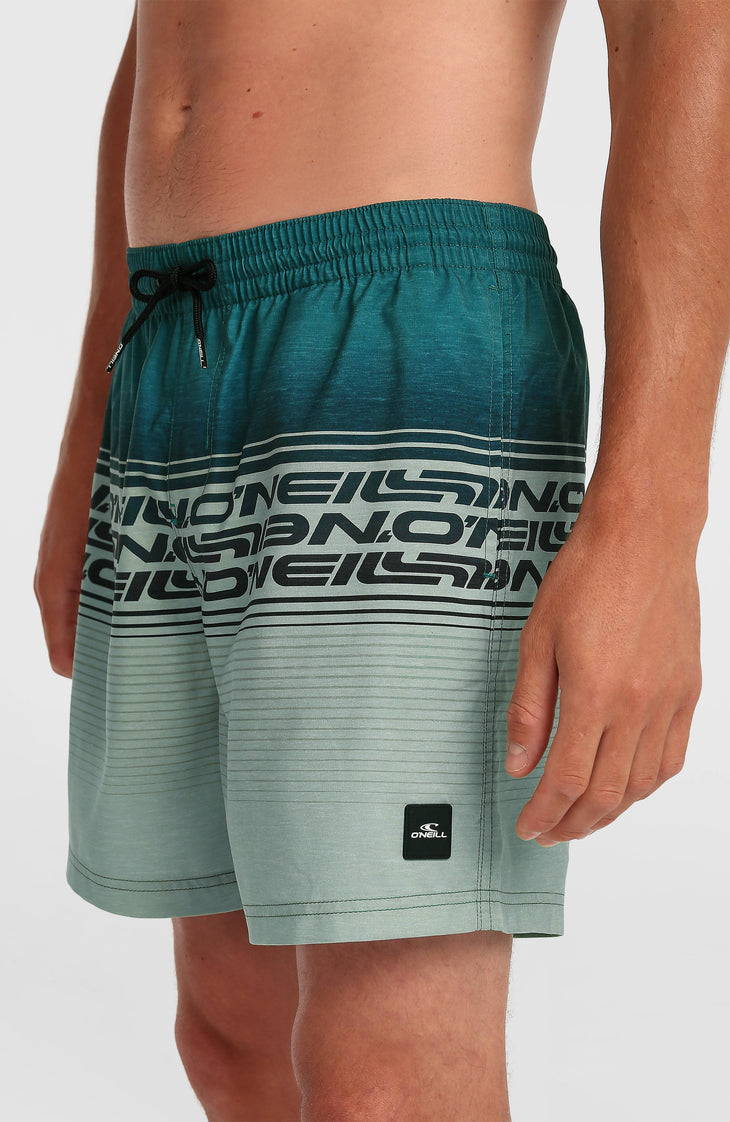 Logo Stripe 16'' zwembroek | Green Heritage Stripe