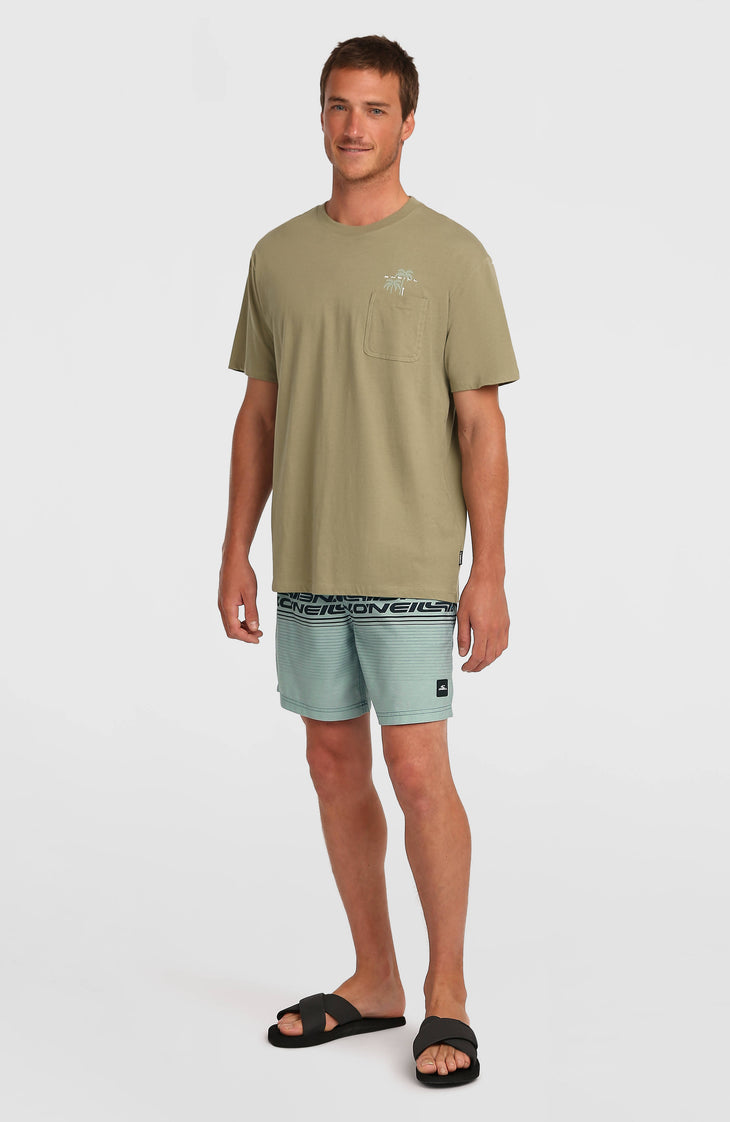 Logo Stripe 16'' zwembroek | Green Heritage Stripe
