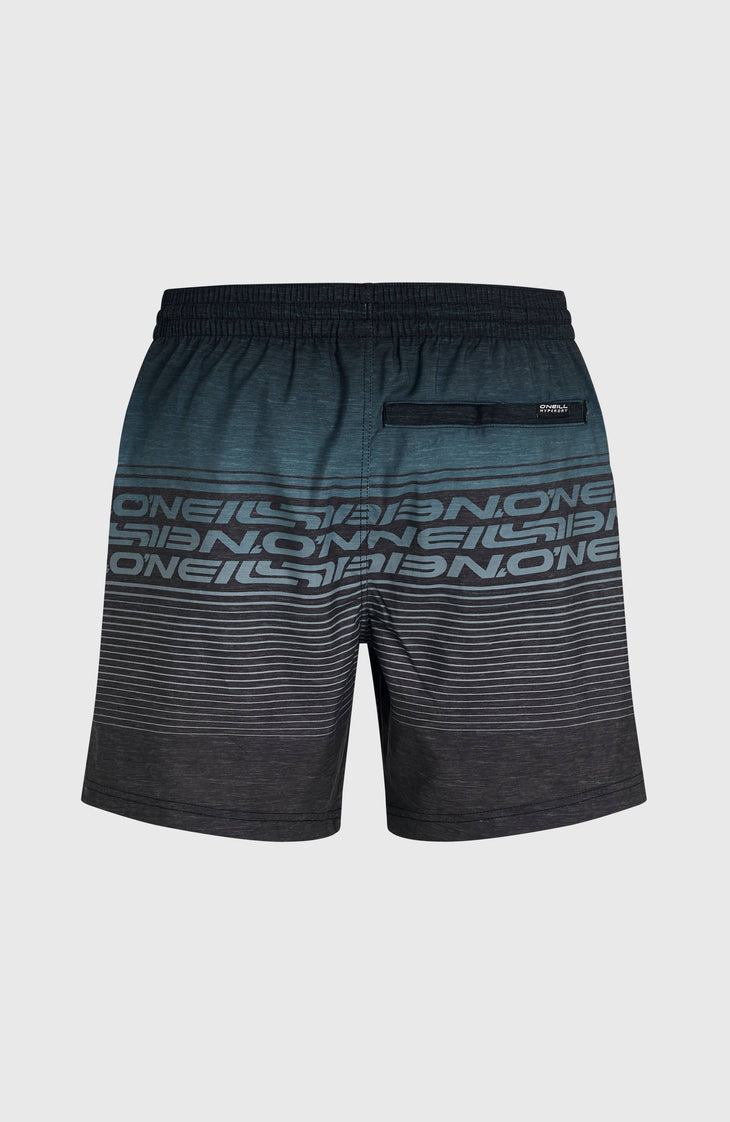 Logo Stripe 16'' zwembroek | Black Out Heritage O'Neill Stripe