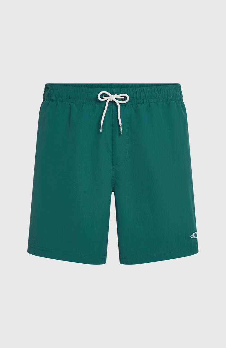 O'Neill Vert 16'' zwembroek | Botanical Heat
