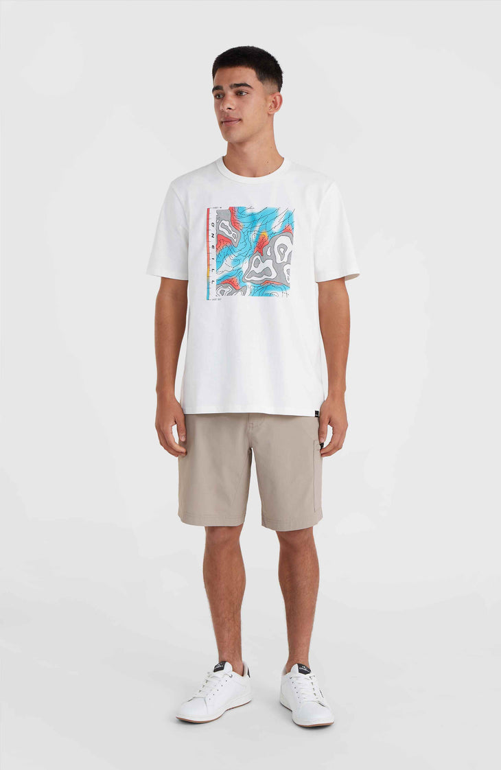 O'Neill TRVLR Series Pacific Polygiene T-shirt | Snow White