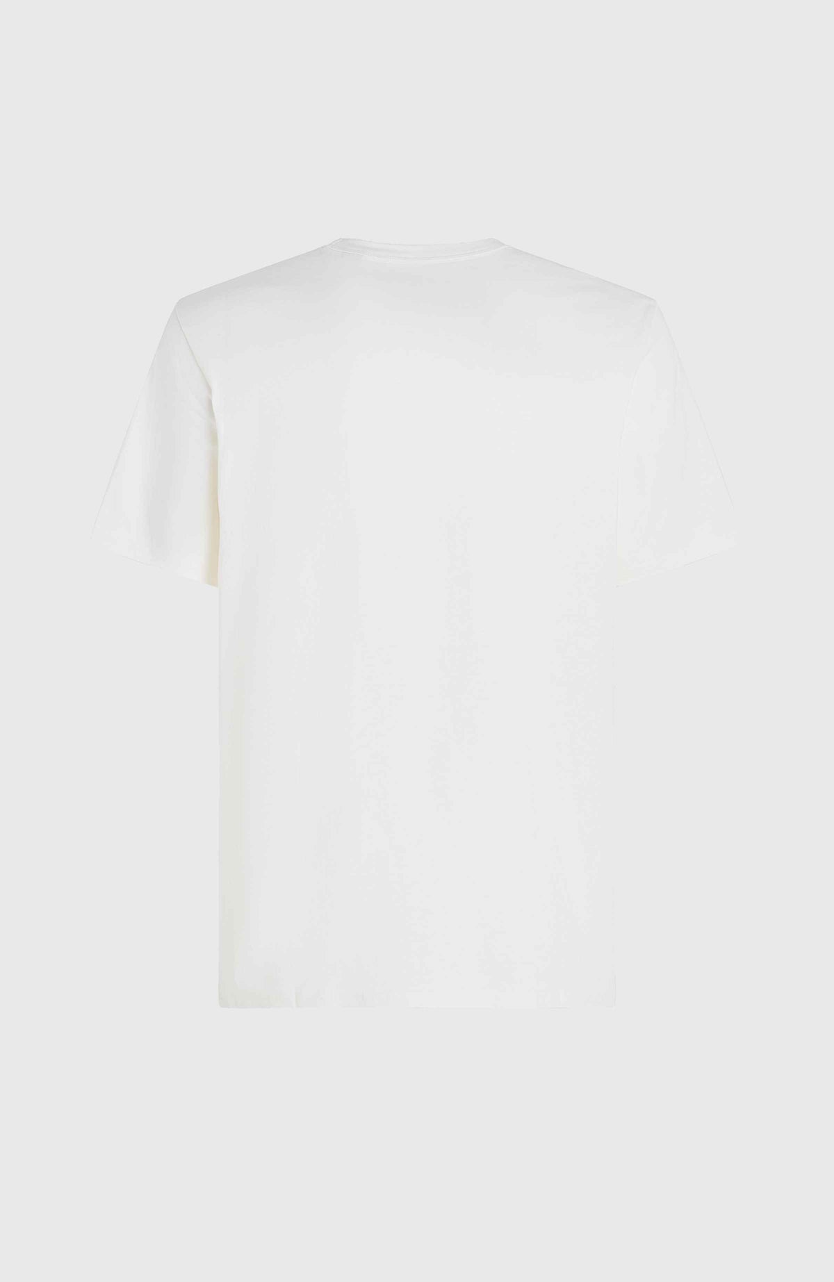 O'Neill TRVLR Series Pacific Polygiene T-shirt | Snow White