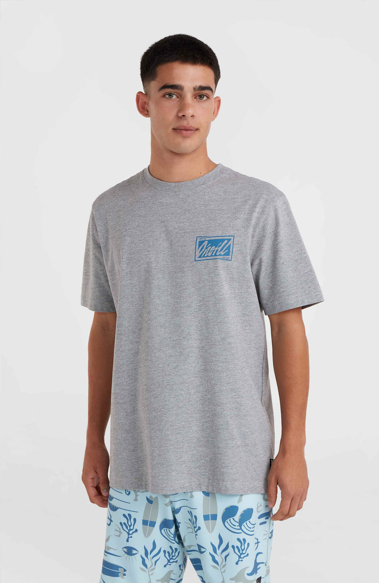 O'Neill Beach Graphic T-shirt | Silver Melee O'Neill Beach Graphic T-shirt | Silver Melee
