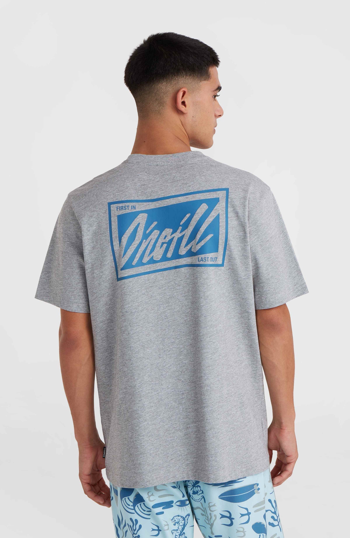 O'Neill Beach Graphic T-shirt | Silver Melee