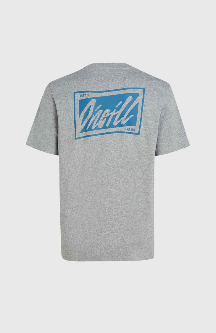 O'Neill Beach Graphic T-shirt | Silver Melee