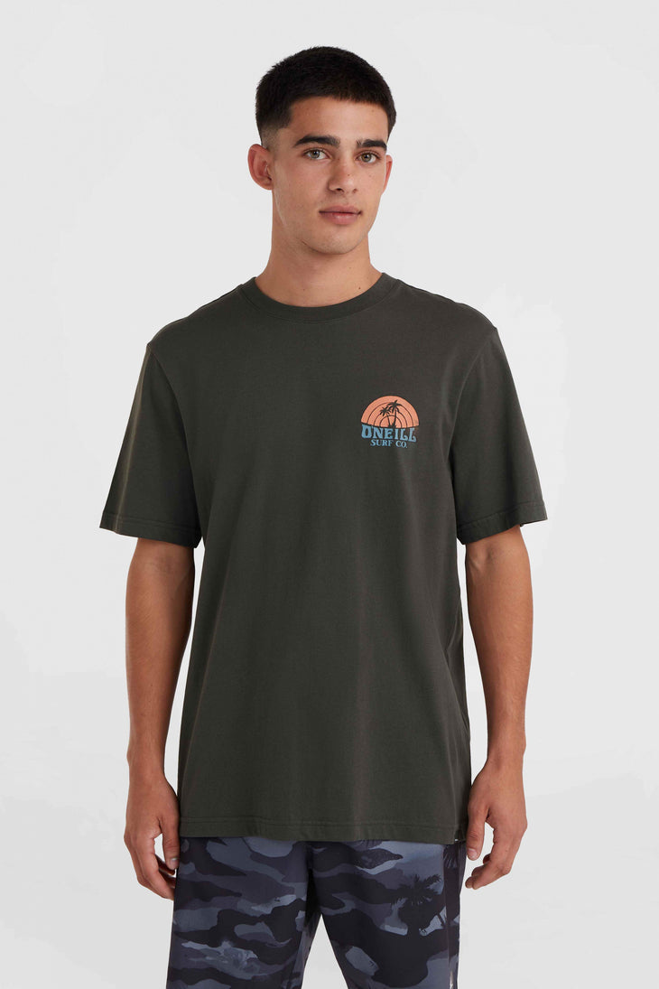 O'Neill Beach Graphic T-shirt | Raven