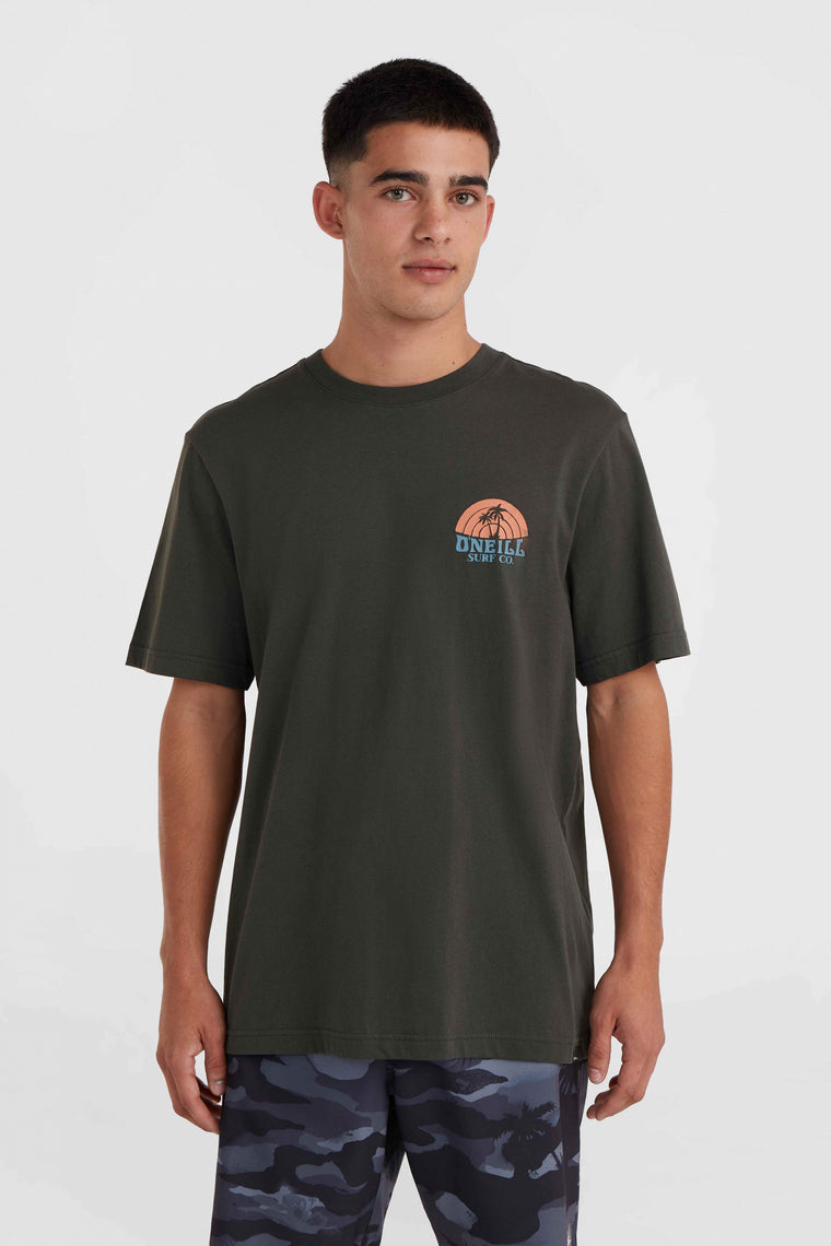 O'Neill Beach Graphic T-shirt | Raven O'Neill Beach Graphic T-shirt | Raven