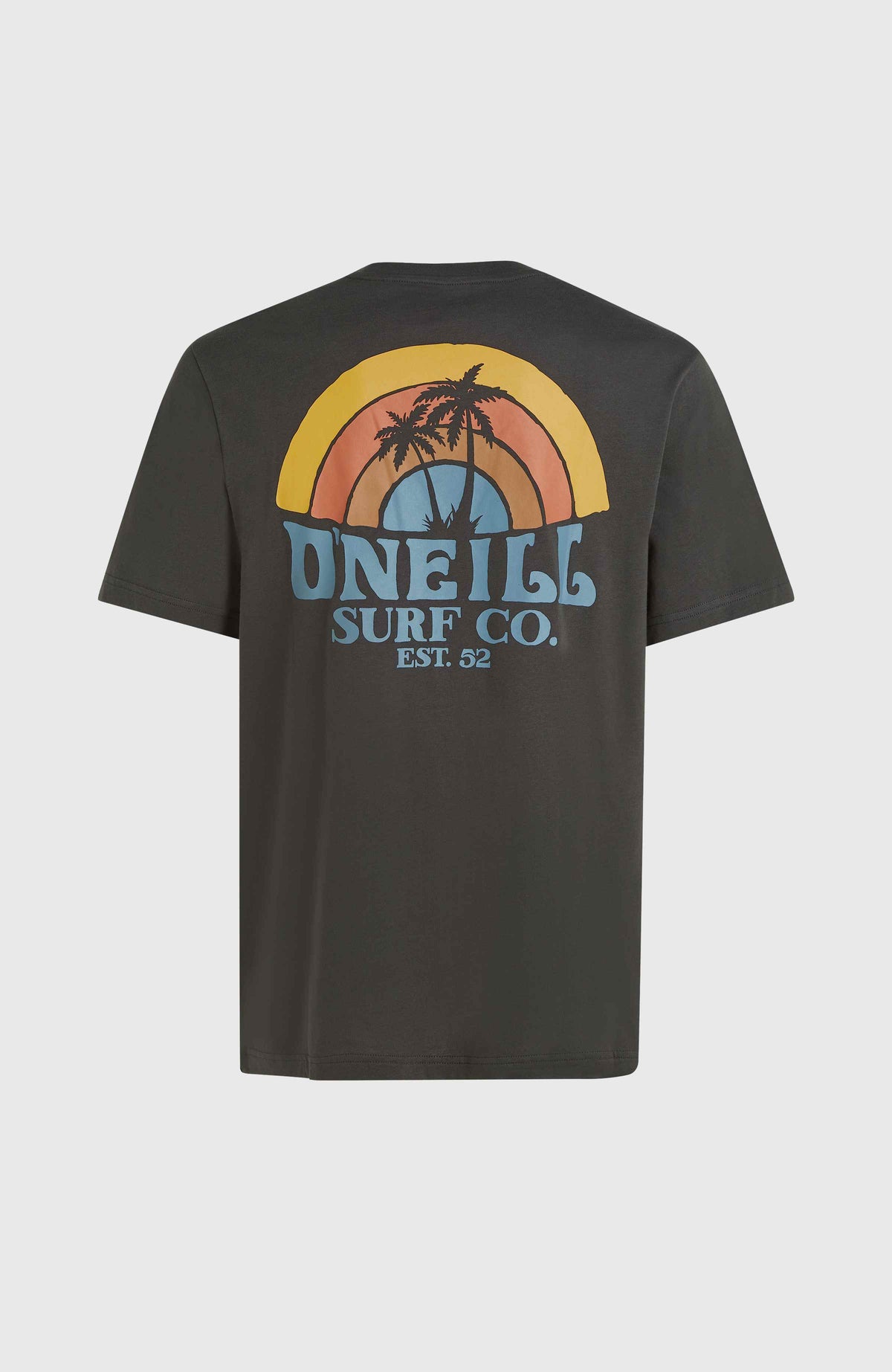 O'Neill Beach Graphic T-shirt | Raven