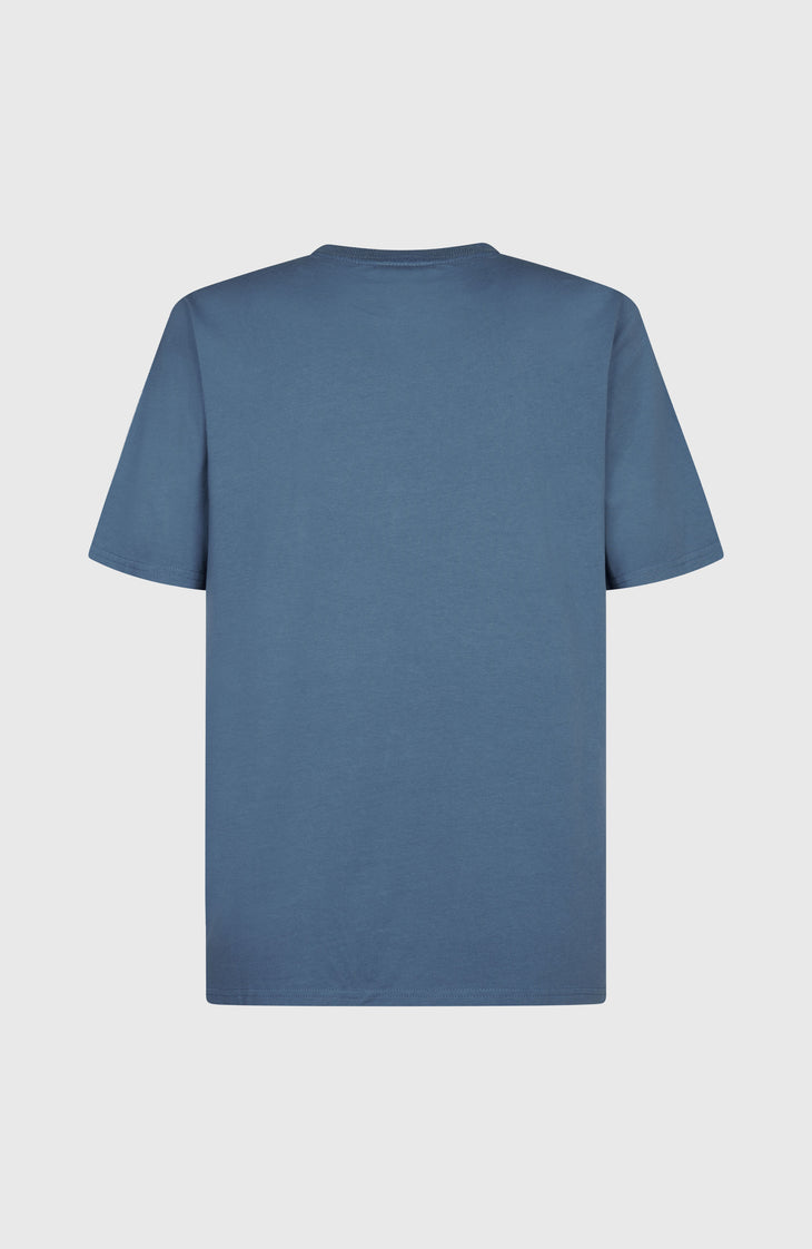 Future Surf Society T-shirt | Copen Blue