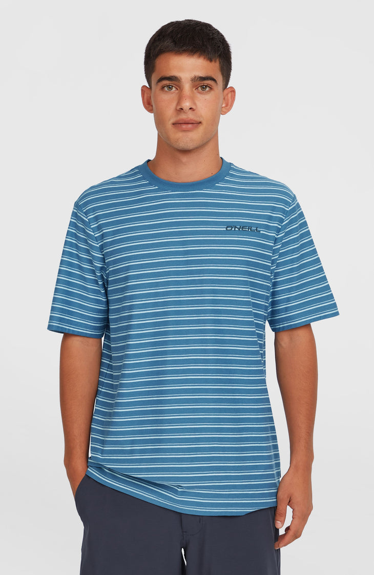 Yarn Stripe T-shirt | Blue Cali Tee Stripe