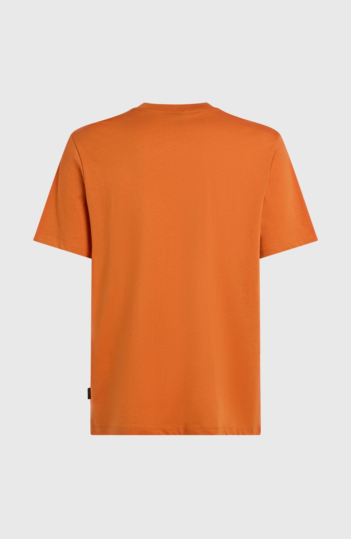 Front Print T-shirt | Cinnamon Stick