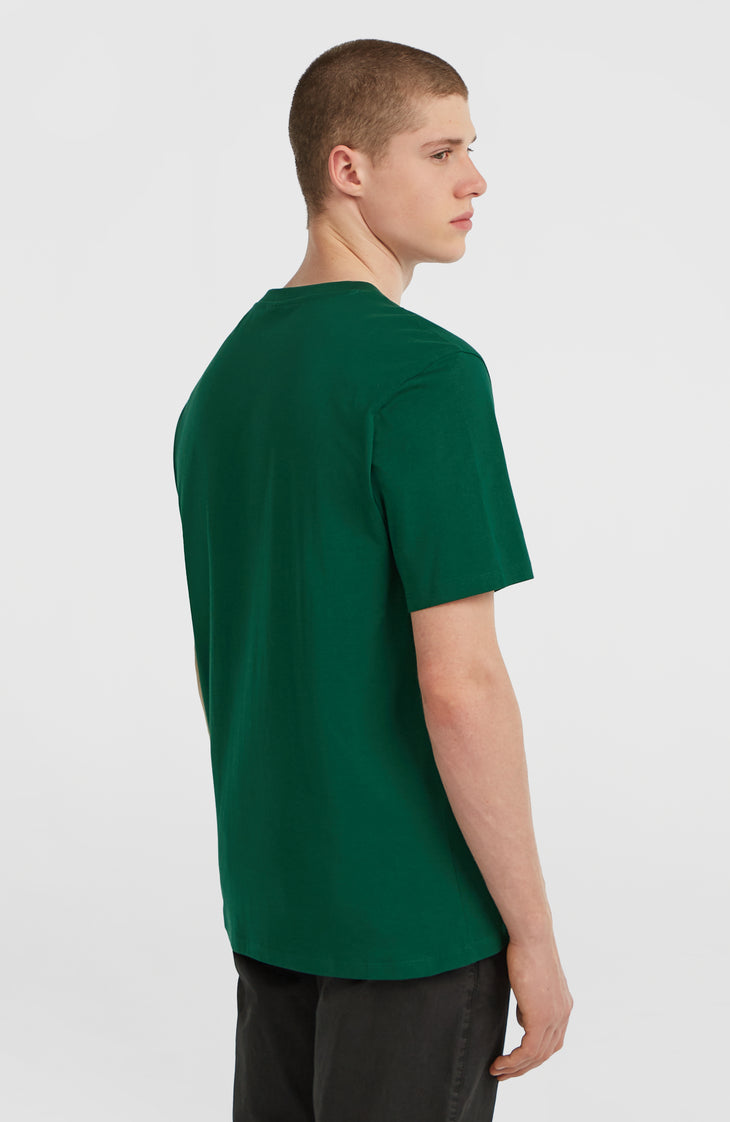 Small Logo T-shirt | Emerald Envy