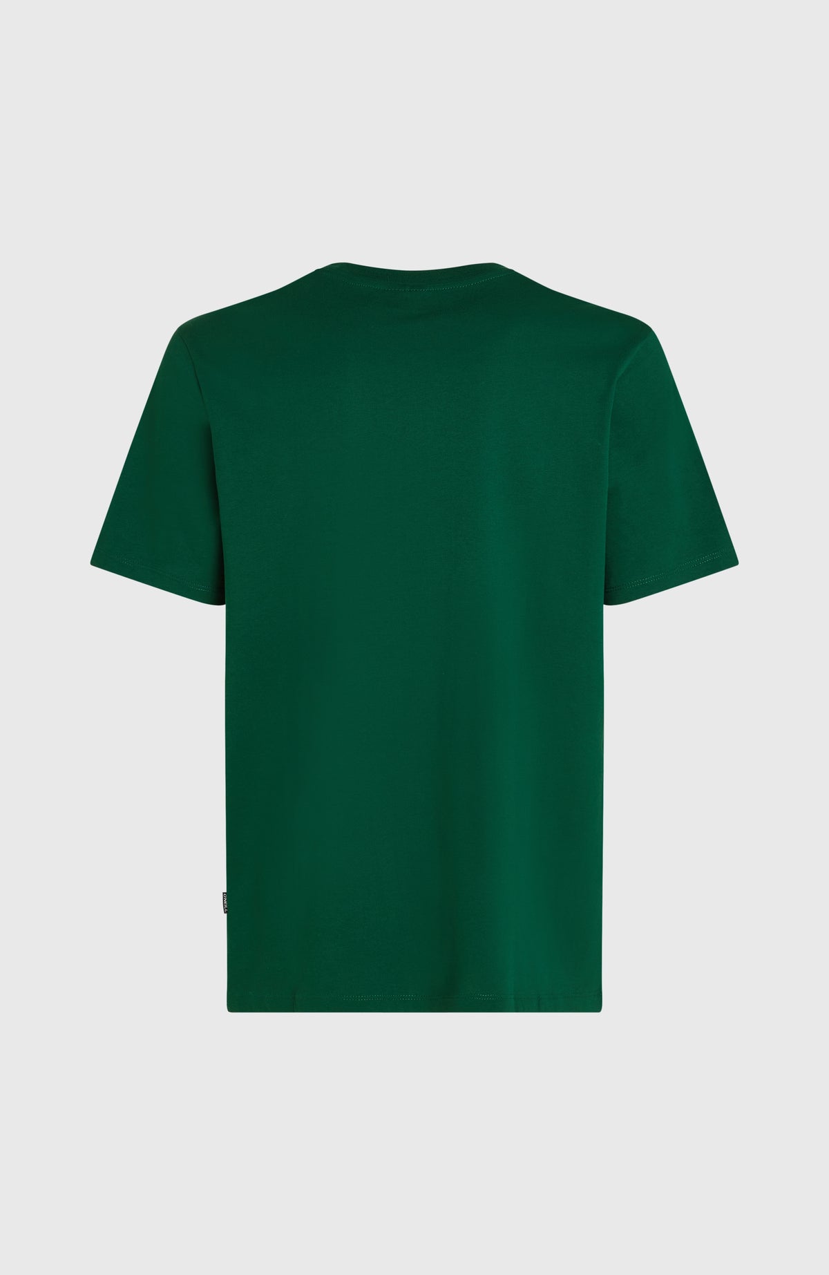 Small Logo T-shirt | Emerald Envy