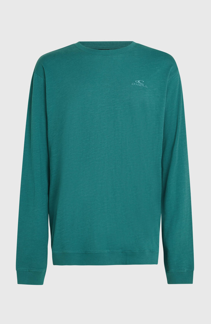 O'Neill Slub shirt met lange mouwen | Botanical Heat
