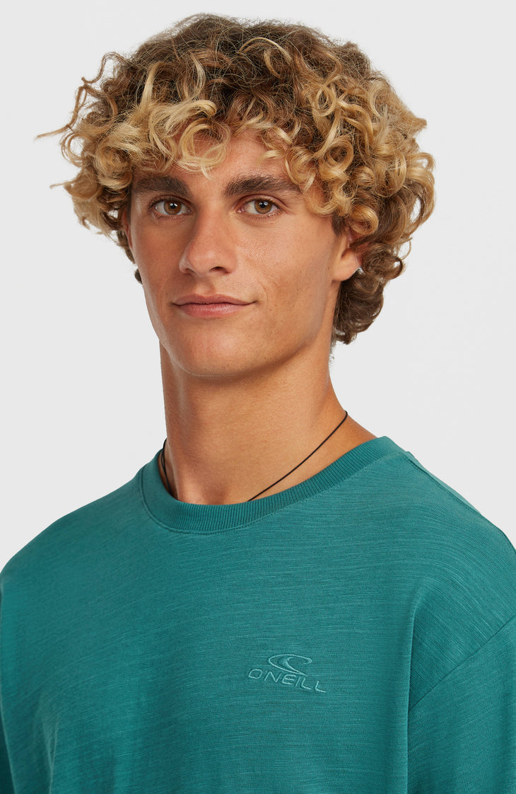 O'Neill Slub shirt met lange mouwen | Botanical Heat