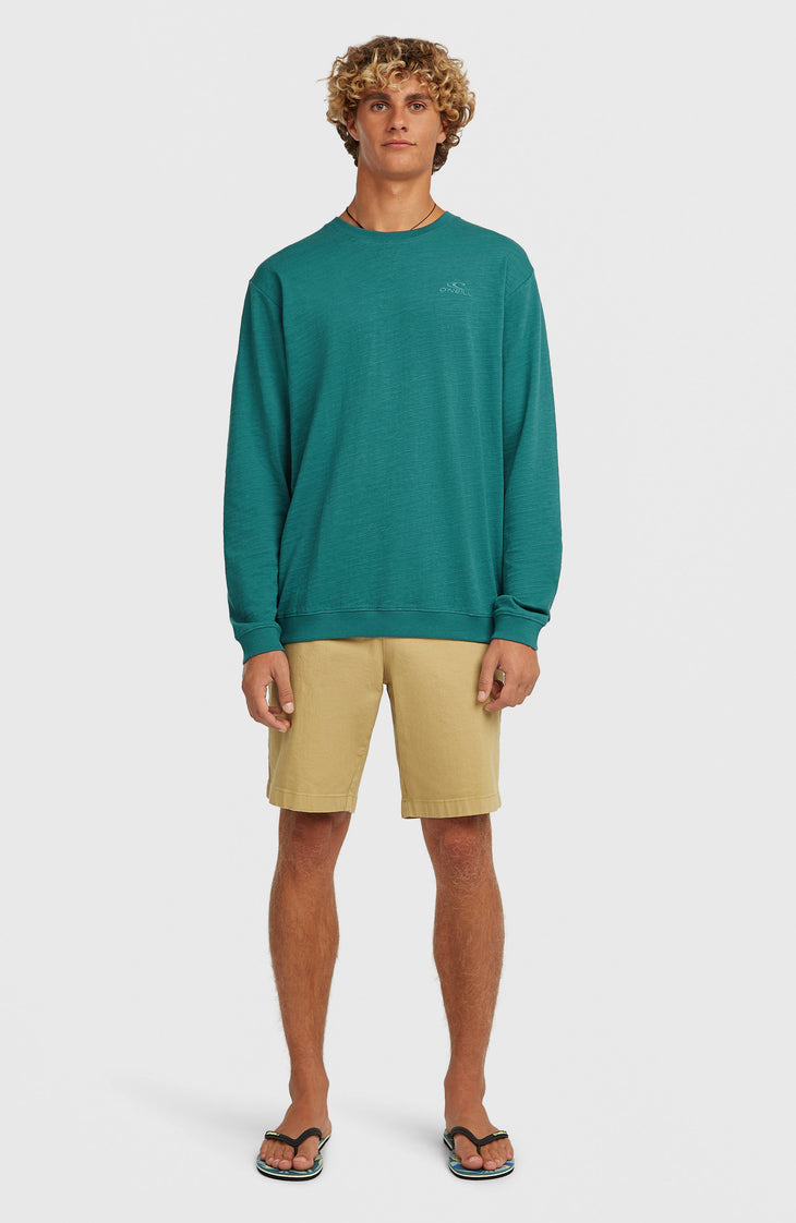 O'Neill Slub shirt met lange mouwen | Botanical Heat