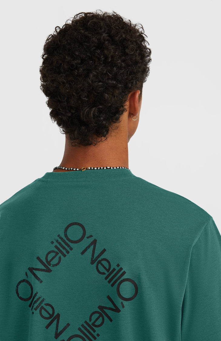 O'Neill Hybrid Polygiene Back-Print T-shirt | Botanical Heat