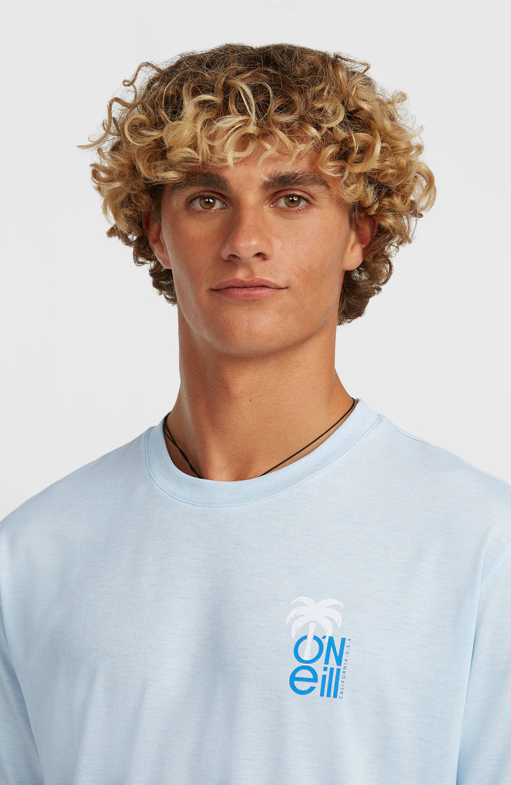 O'Neill Hybrid Polygiene Graphic T-shirt | Spindle