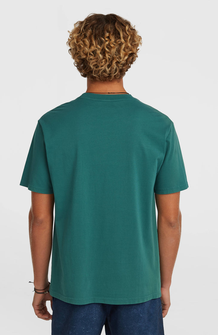 O'Riginals Front-Stripe T-shirt | Botanical Heat